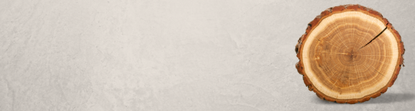 Aserríos Mademor S.A.S - Innovación Sostenible en Aserrios Mademor: Construyendo un Futuro Mejor - Somos una empresa dedicada a la excelencia, la sostenibilidad y la innovación en la industria maderera.