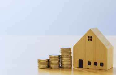 Aserríos Mademor S.A.S - Innovación Sostenible en Aserrios Mademor: Construyendo un Futuro Mejor - Somos una empresa dedicada a la excelencia, la sostenibilidad y la innovación en la industria maderera.