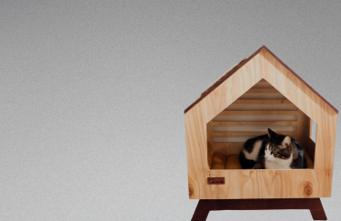 Aserríos Mademor S.A.S - Innovación Sostenible en Aserrios Mademor: Construyendo un Futuro Mejor - Somos una empresa dedicada a la excelencia, la sostenibilidad y la innovación en la industria maderera.