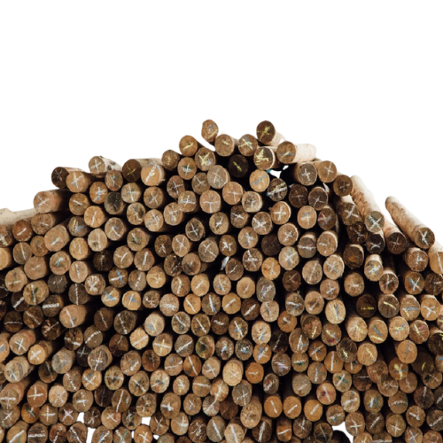 Aserríos Mademor S.A.S - Innovación Sostenible en Aserrios Mademor: Construyendo un Futuro Mejor - Somos una empresa dedicada a la excelencia, la sostenibilidad y la innovación en la industria maderera.