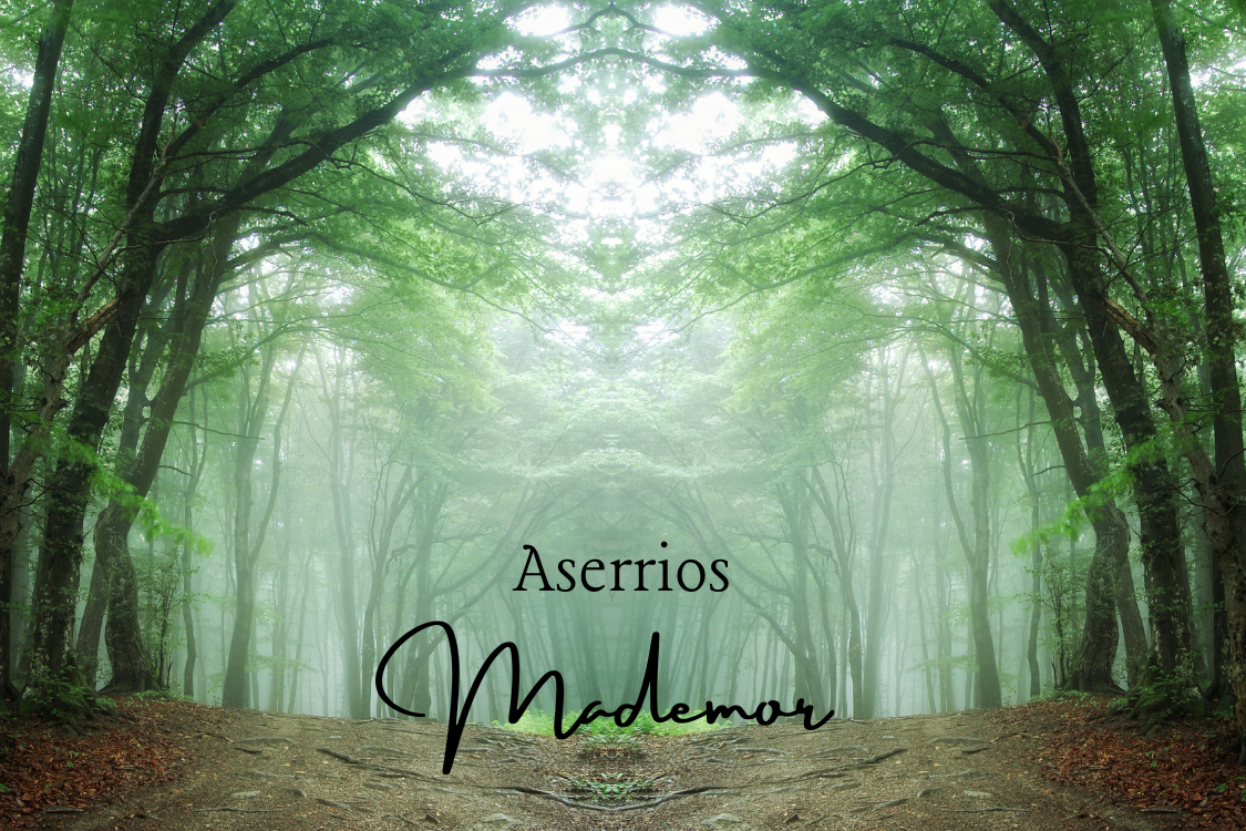 Aserríos Mademor S.A.S - Innovación Sostenible en Aserrios Mademor: Construyendo un Futuro Mejor - Somos una empresa dedicada a la excelencia, la sostenibilidad y la innovación en la industria maderera.